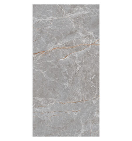 BAUHAUS-B 9MM 120*240 GRIS